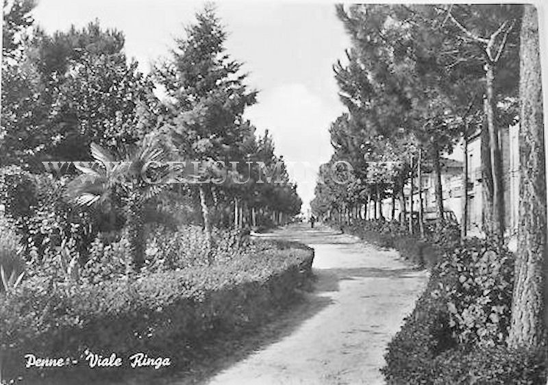 Viale Ringa